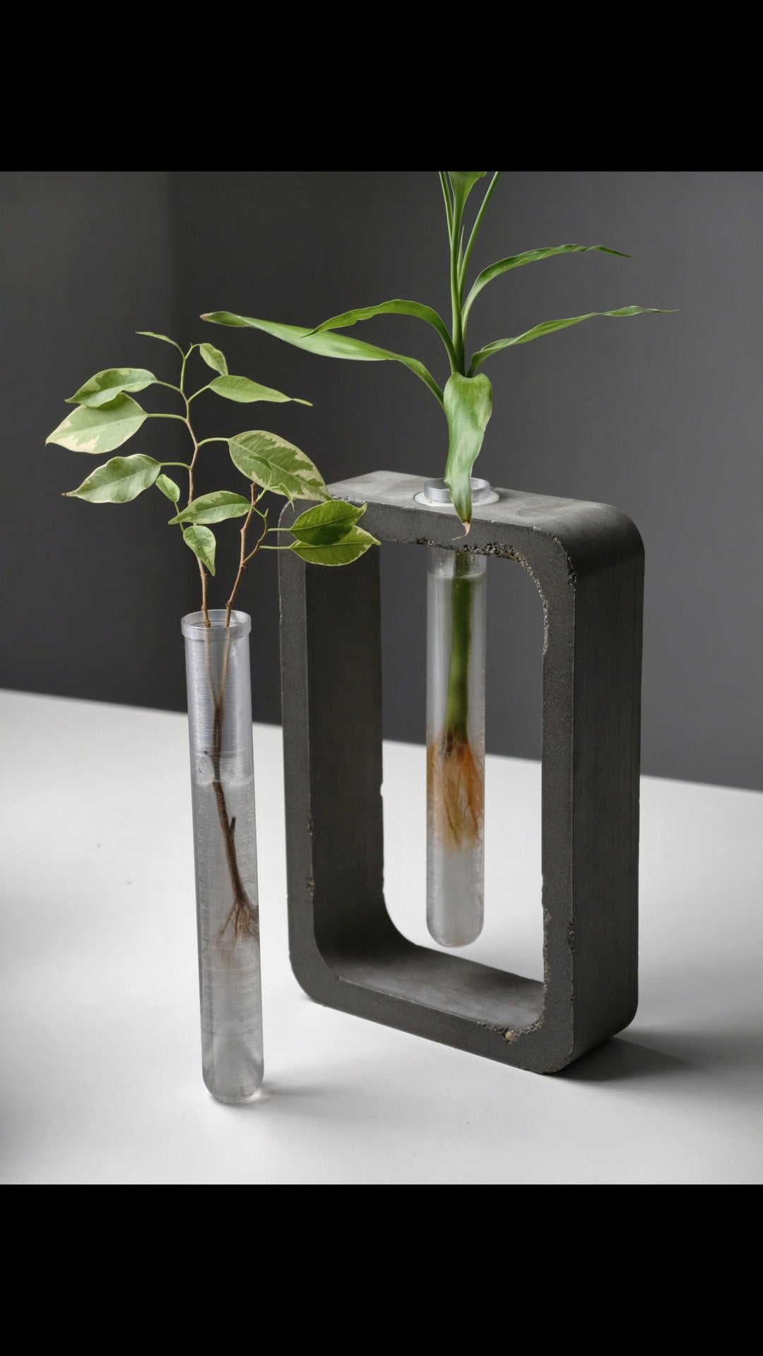 3D-Printable Frame Vase, PLA Mold for Concrete, 10 Test Tube Designs + Fusion 360 Source (Customizable / Scalable)