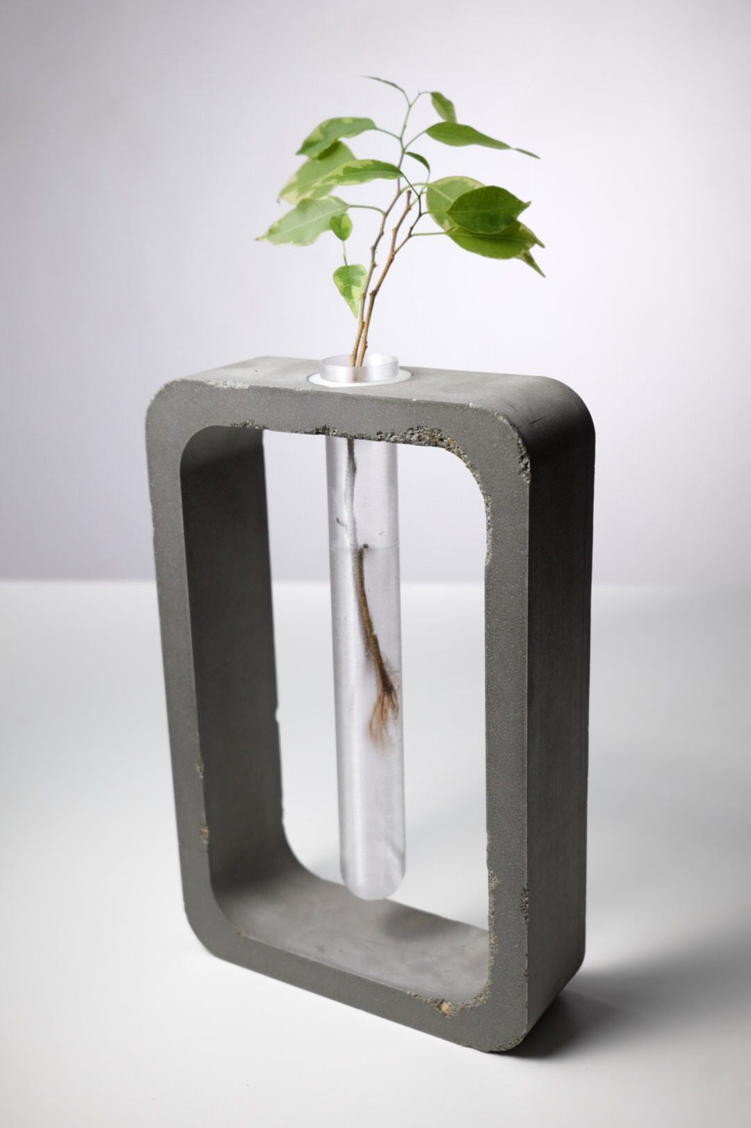 3D-Printable Frame Vase, PLA Mold for Concrete, 10 Test Tube Designs + Fusion 360 Source (Customizable / Scalable)